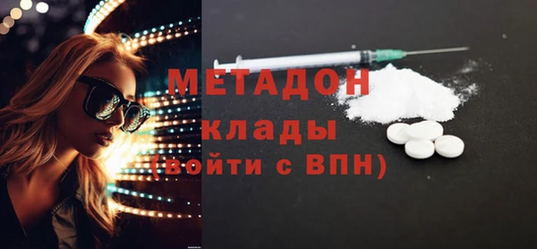 индика Аркадак