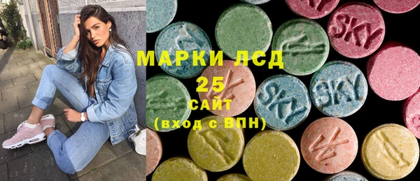 индика Аркадак