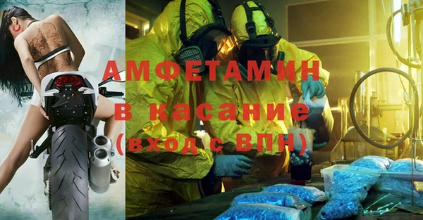 индика Аркадак