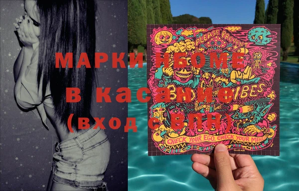 индика Аркадак