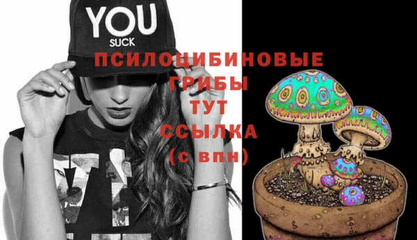 индика Аркадак