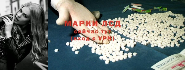 индика Аркадак