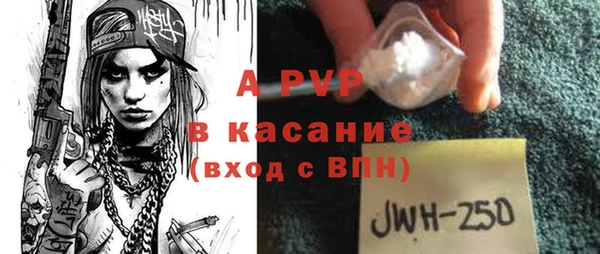 индика Аркадак