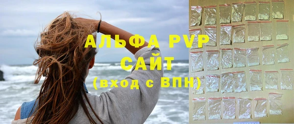 индика Аркадак